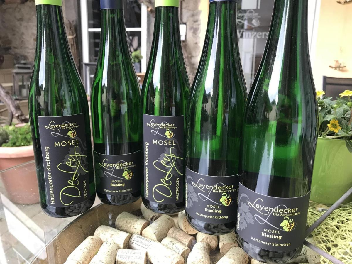 Appartamento Bio-Ferienweingut Leyendecker Kattenes Esterno foto